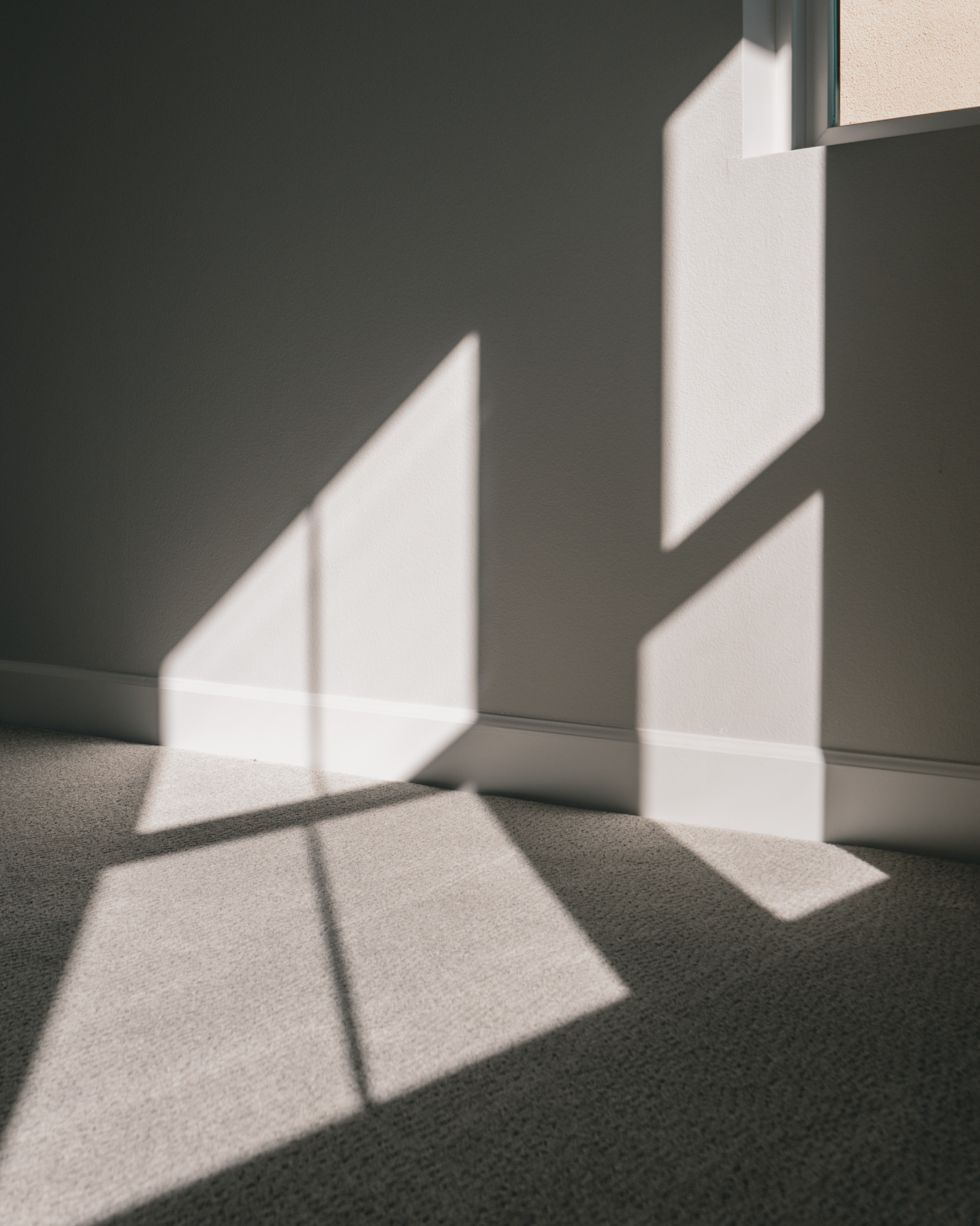 carpet shadows